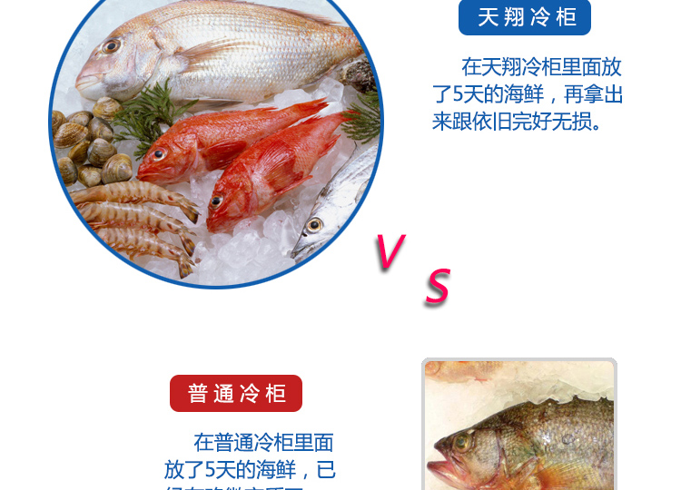   冰柜價格 